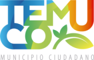 Logo Temuco Municipio Ciudadano